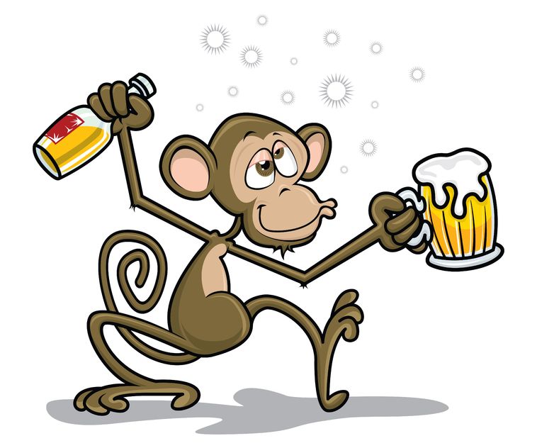 18085504 - drunk monkey